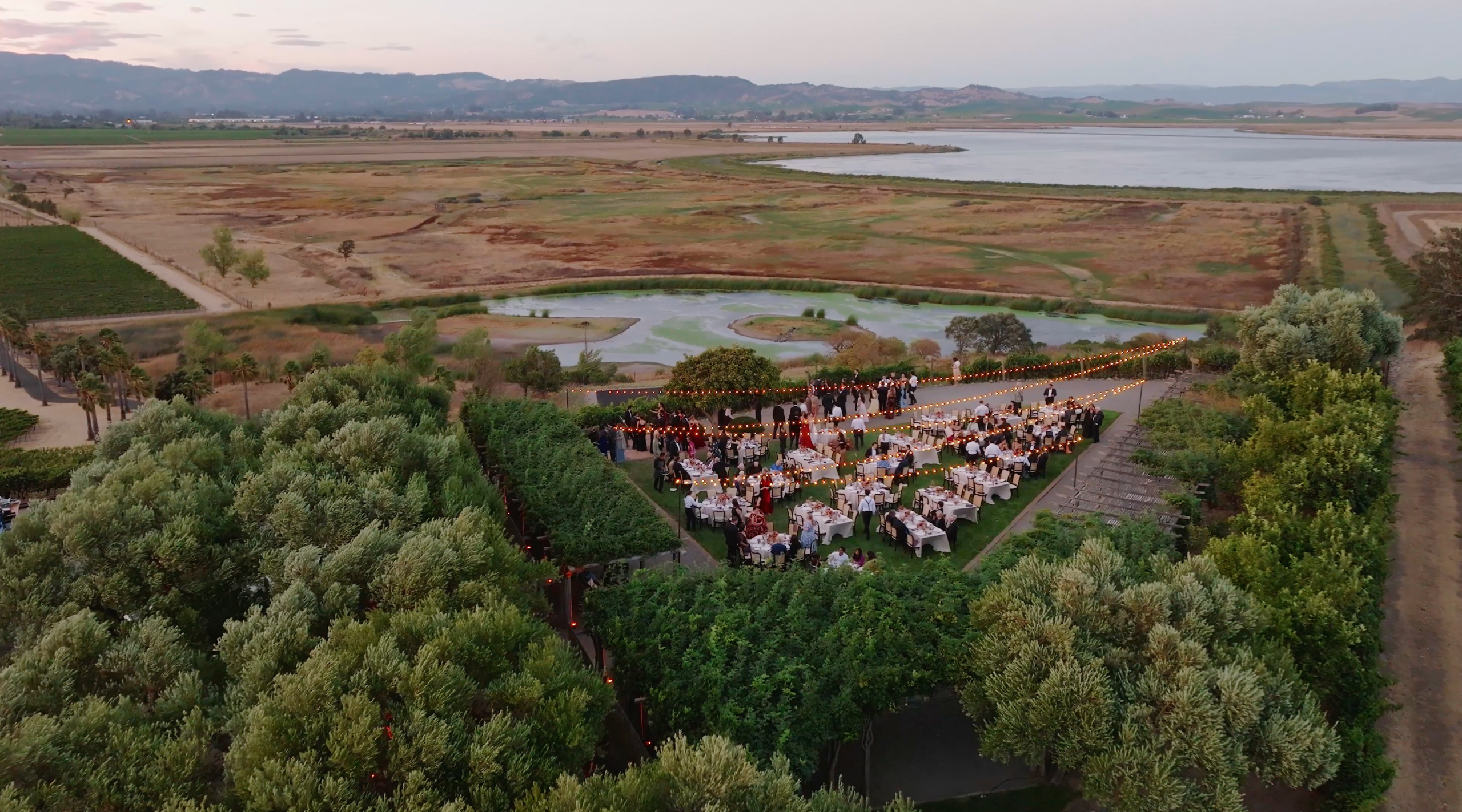 Elegant Napa wedding celebration